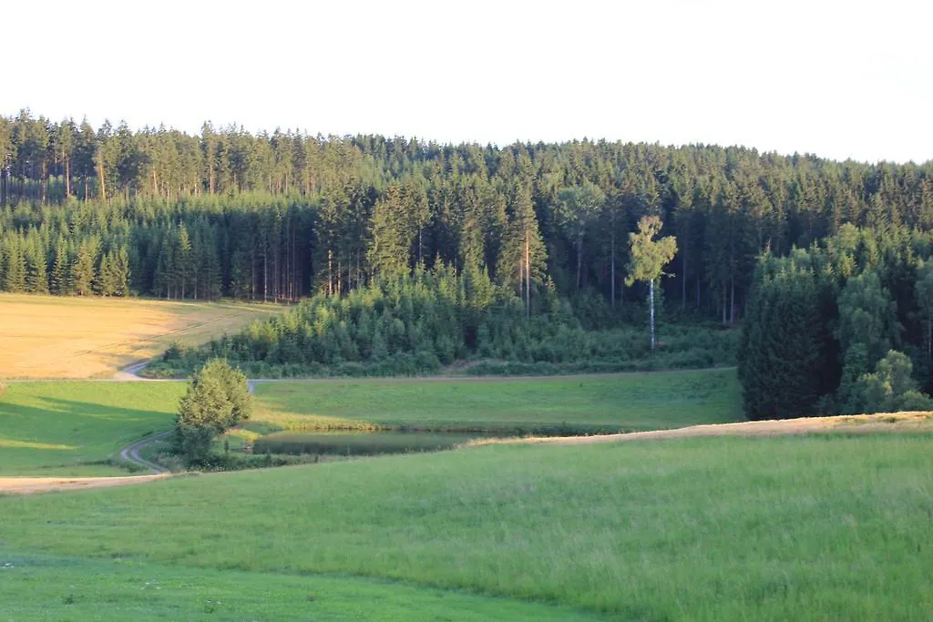 Landgasthof Haueis Marktleugast Guest house